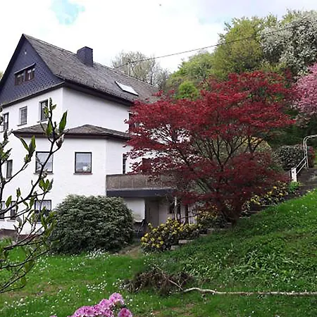 Ring Inn Nürburg-2